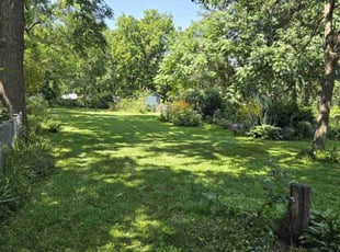 Chaz B.'s grass cutting service result