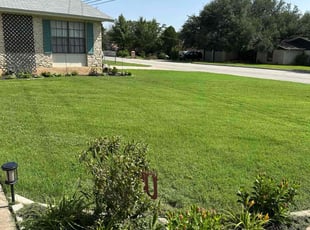 Krishanda G.'s yard care service result