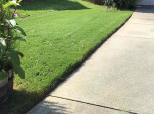 Mitchell K.'s lawn care service result