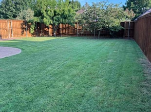 Sanam B.'s grass maintenance service result