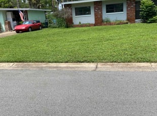 Pablo O.'s lawn service service result