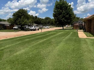 Dave W.'s lawn service service result