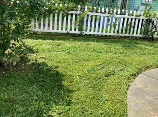 Matthew B.'s lawn service service result