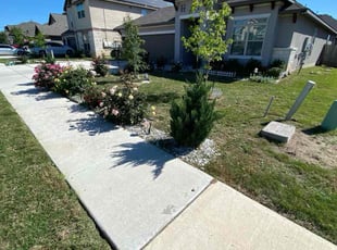 Spencer L.'s turf maintenance service result