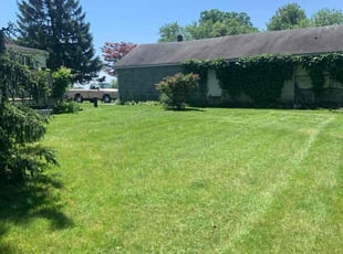 Monica N.'s lawn maintenance service result