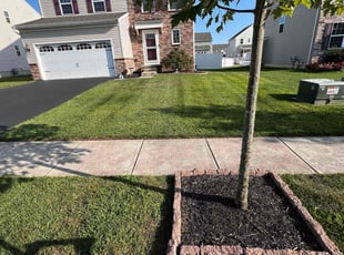 Madelyn B.'s lawn care services service result