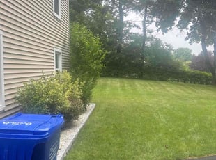Denise S.'s lawn maintenance service result