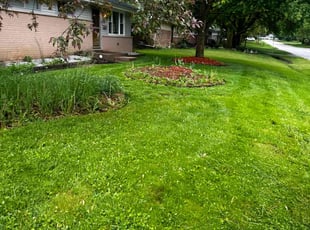 Eunjoo L.'s lawn service service result