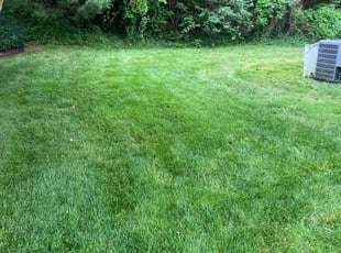 Erinne S.'s lawn care services service result