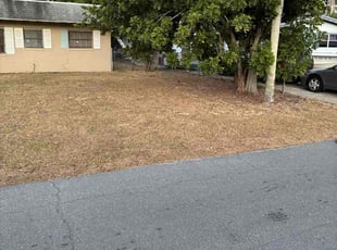 Carmen P.'s grass maintenance service result