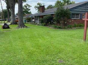 Joshua C.'s yard work service result