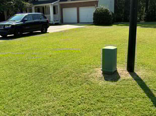 Alyssa K.'s lawn care service result