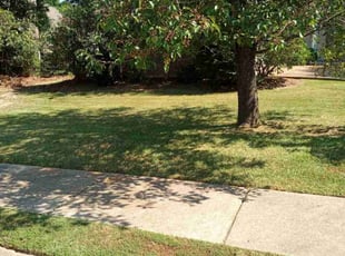 Jenai W.'s lawn care service result
