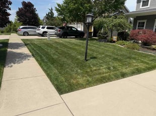 Yolanda B.'s lawn service service result