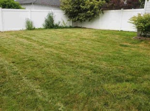 Sheila V.'s turf maintenance service result