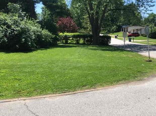 Yuliia S.'s lawn service service result