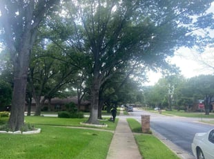 Anna B.'s lawn care services service result