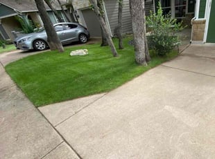 Sherry T.'s lawn service service result
