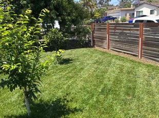 Korina H.'s lawn maintenance service result