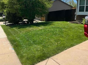 Jamie A.'s turf maintenance service result