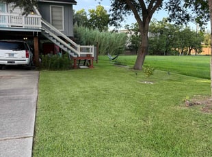 Jermaine G.'s grass cutting service result