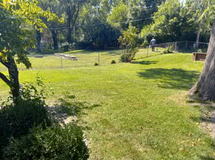 Steve S.'s turf maintenance service result