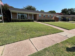 Monnie C.'s lawn care service result