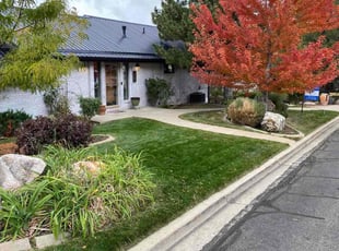 Michael W.'s turf care service result
