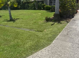Coulter K.'s lawn care service result