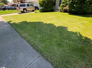 Sheila D.'s lawn maintenance service result