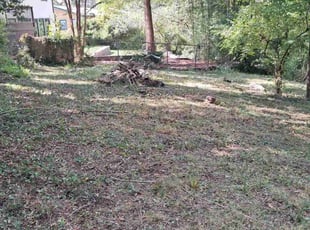 Lynne M.'s grass cutting service result