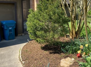 Joseph T.'s Bush Trimming service result