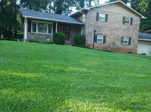Sue H.'s grass cutting service result
