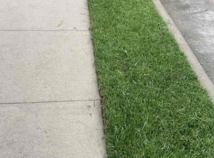 Deborah D.'s lawn care service result