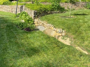Athena B.'s lawn care service result