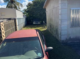 Seliner J.'s Long Grass Cleanup service result