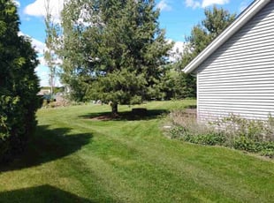 Shea S.'s lawn service service result