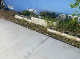 Joseph K.'s lawn care services service result