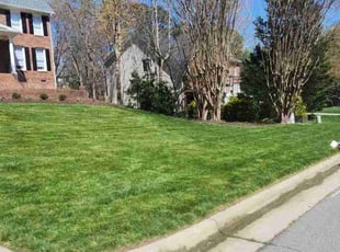 Tyrone P.'s lawn maintenance service result