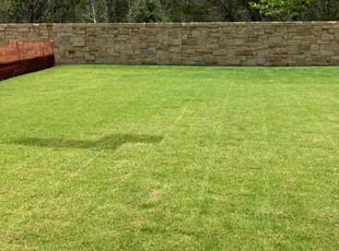 Kathy M.'s grass maintenance service result