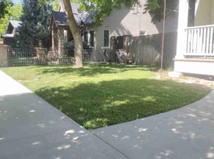 Hassan A.'s grass maintenance service result