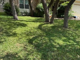 Paul B.'s lawn maintenance service result
