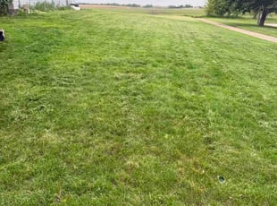 Rodney M.'s turf care service result