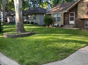 Marlena B.'s turf maintenance service result