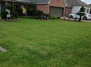 Mel B.'s grass cutting service result
