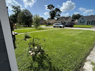Ben R.'s lawn care service result