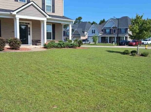 Taylor C.'s turf care service result