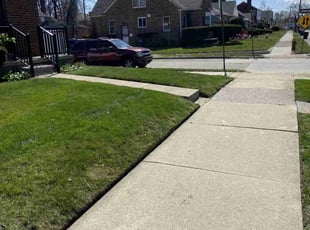 Blooming L.'s turf care service result