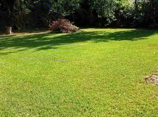 Matthew G.'s lawn service service result