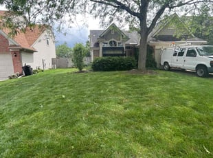 Christi L.'s lawn maintenance service result